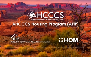 AHCCCS AHP Program