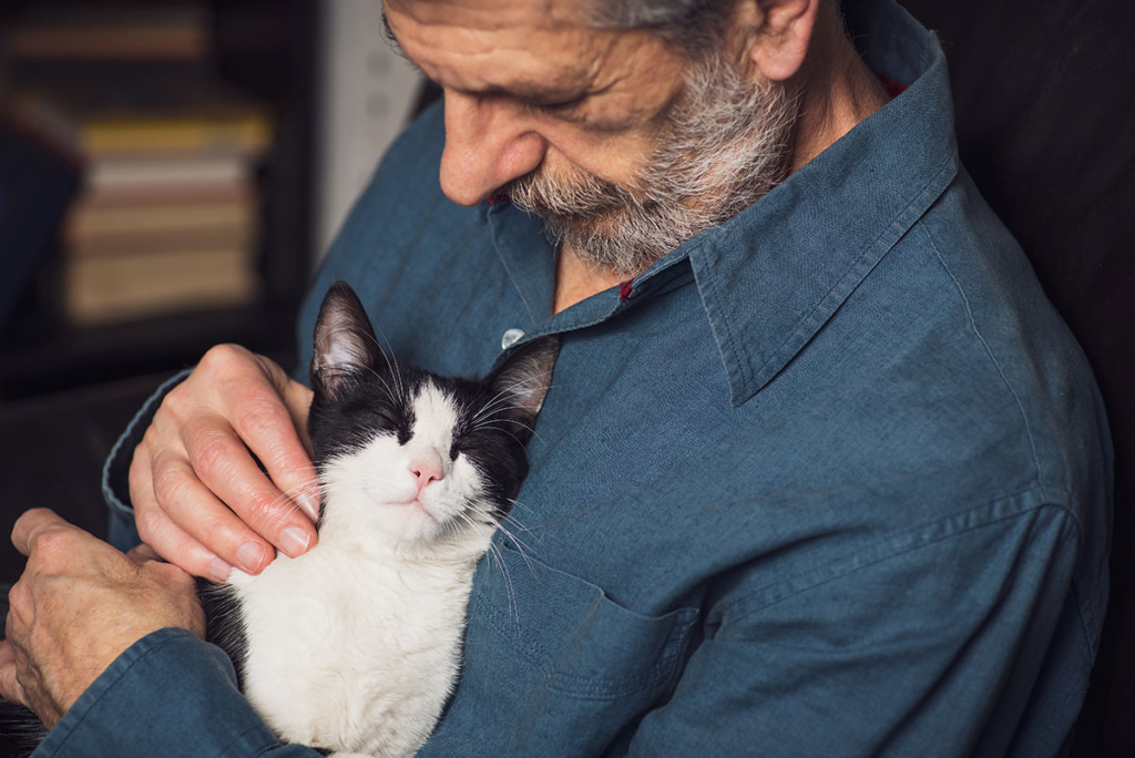 Emotional support cat