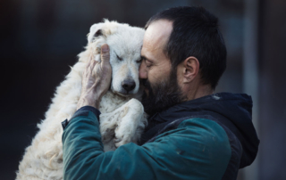 assistance animals in supportive housing